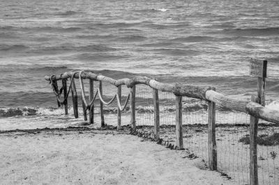 Strand Maasholm
