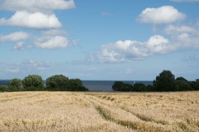 Landschaft, Ostsee
