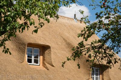 Reetdachhaus
