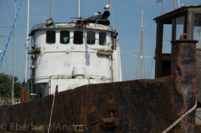 Wrack, Kappeln
