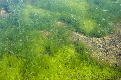 20120704_D90_Norw_6213.jpg