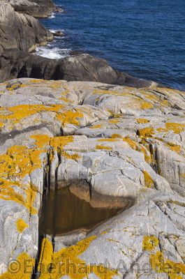 20120705_D90_Norw_6271.jpg
