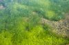 20120704_D90_Norw_6213.jpg