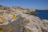 20120705_D90_Norw_6269.jpg