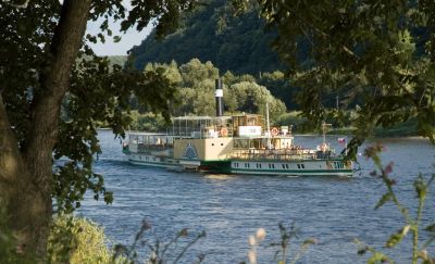 Elbdampfer
