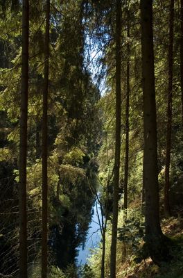 Kirschnitztal
