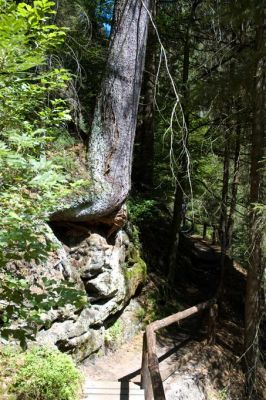 Kirschnitztal
