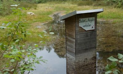 Verbot, Wald
