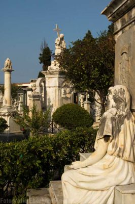 Friedhof, Giarre
