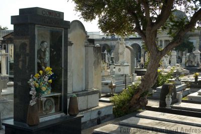 Friedhof, Giarre

