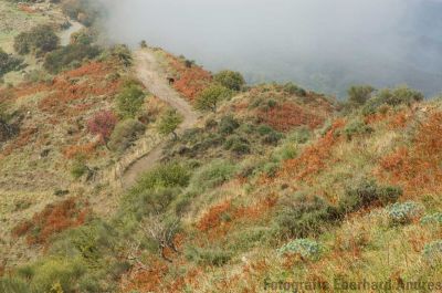 DSC_7974.jpg