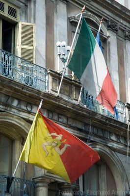 DSC_8155.jpg