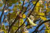DSC_7725.jpg