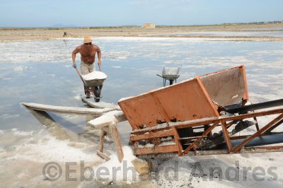 Salina, Marsala
