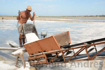 Salina, Marsala
