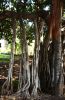 20140912_D71_IT_3259.jpg