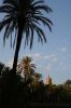 20140912_D71_IT_3375.jpg