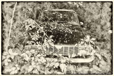 20120701_D90_Norw_5968-2.jpg