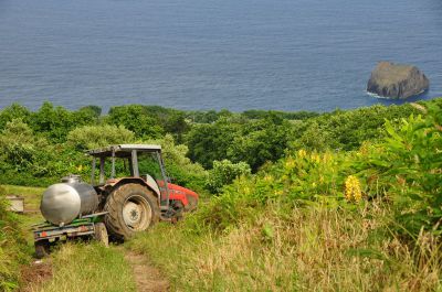 DSC_0114.JPG