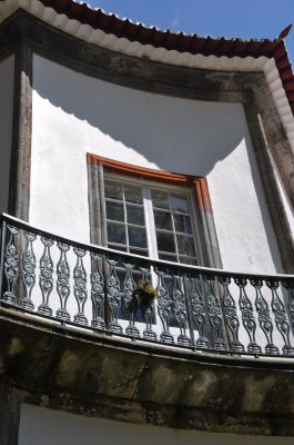 DSC_0307.JPG