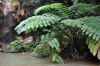 DSC_0187.JPG