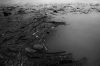 DSC_0872sw.jpg